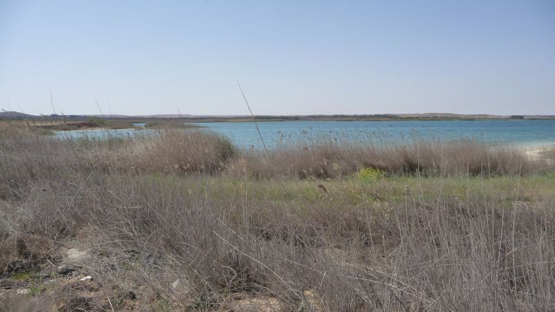 P1030335.JPG